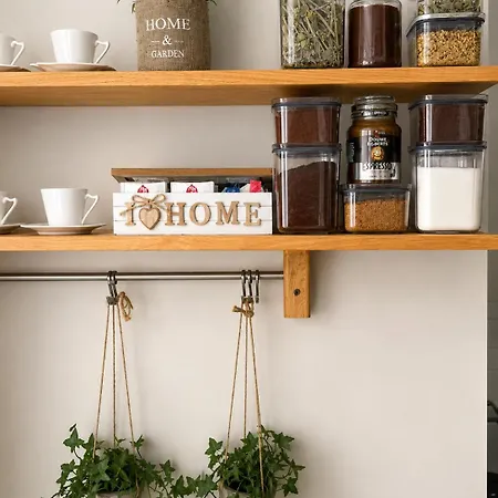 Asana By Agora Flats *