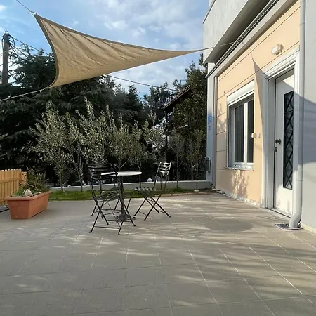 Asana By Agora Flats *