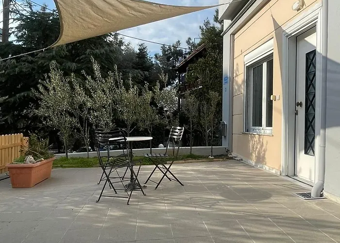 Asana By Agora Flats *
